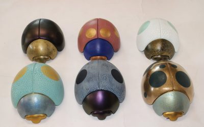 La collection s’agrandit avec l&rsquo;arrivée de nouvelles Coccinelles !