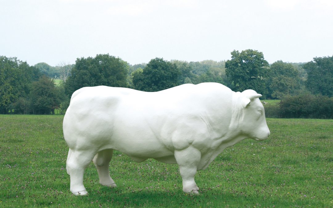 Le Taureau