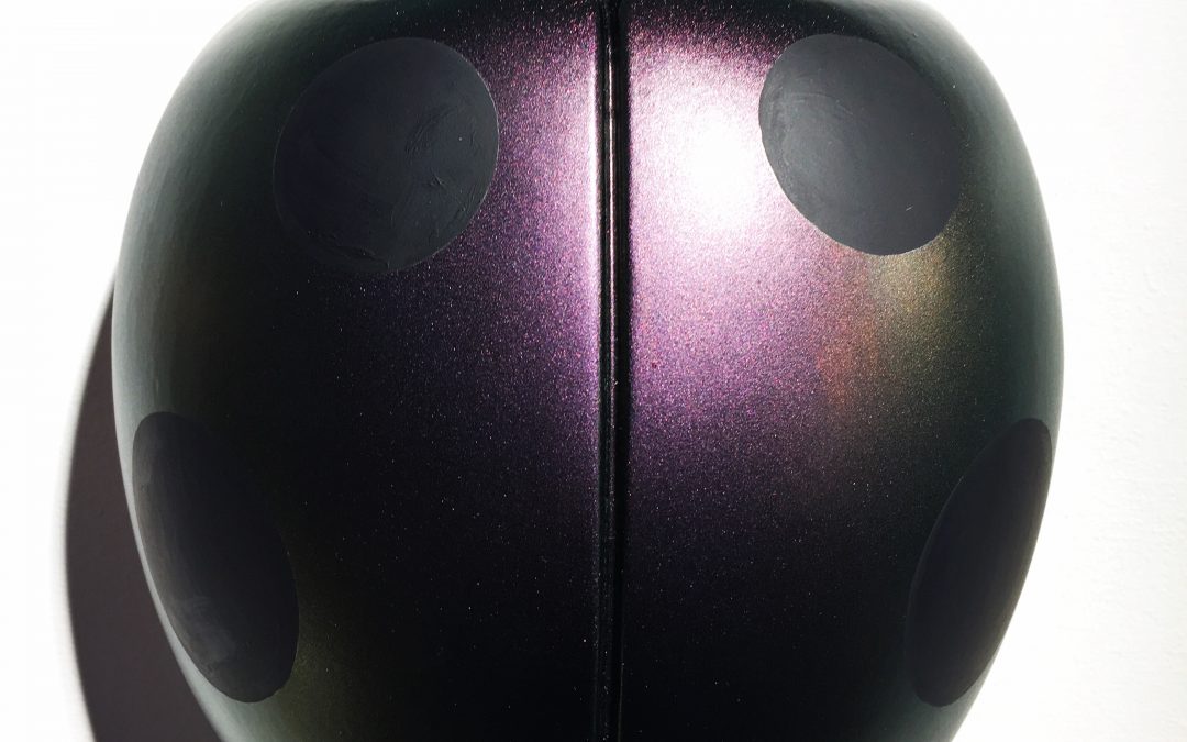 Coccinelle