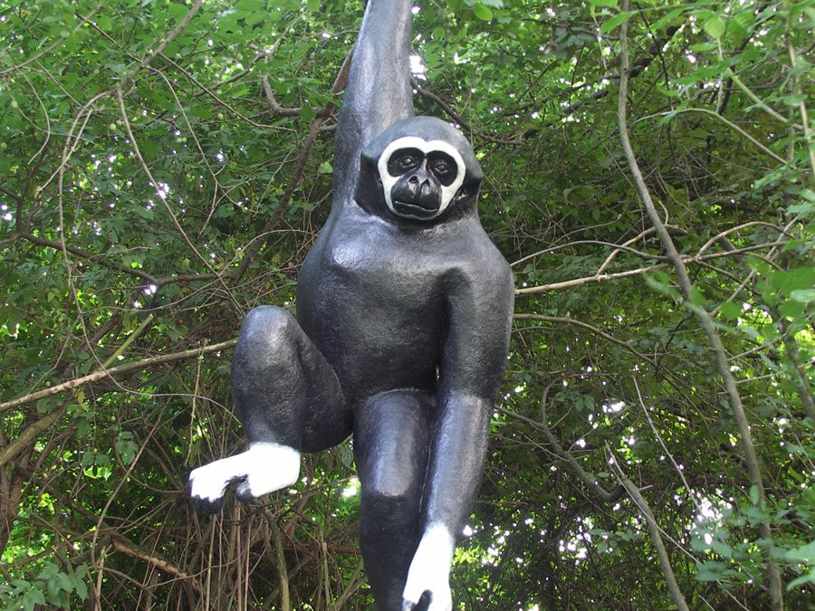 Le Gibbon