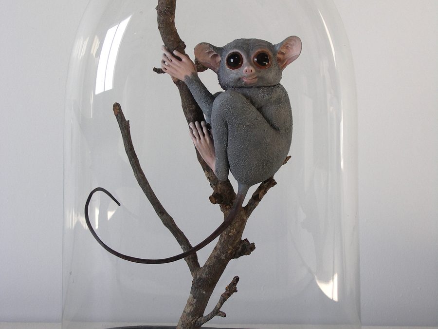 Le Tarsier