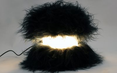 Polux en nouvelle version !