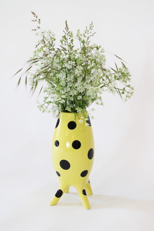 Vasoizo – Image 6