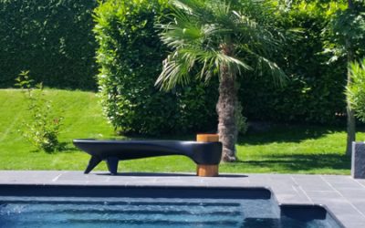 Akène , Projet particuliers et publics.